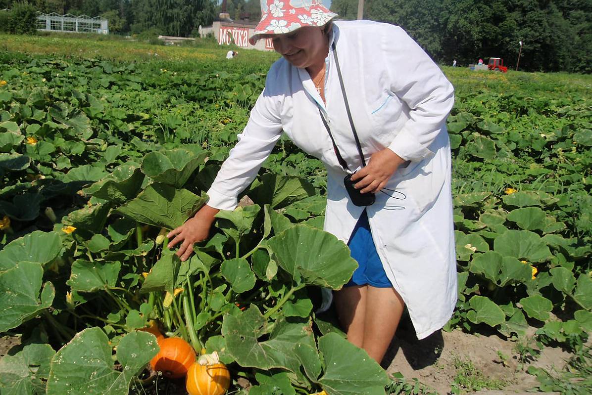 Assistent på zucchini avdelningen visar stolt upp utbudet. Foto Gitte Jutvik