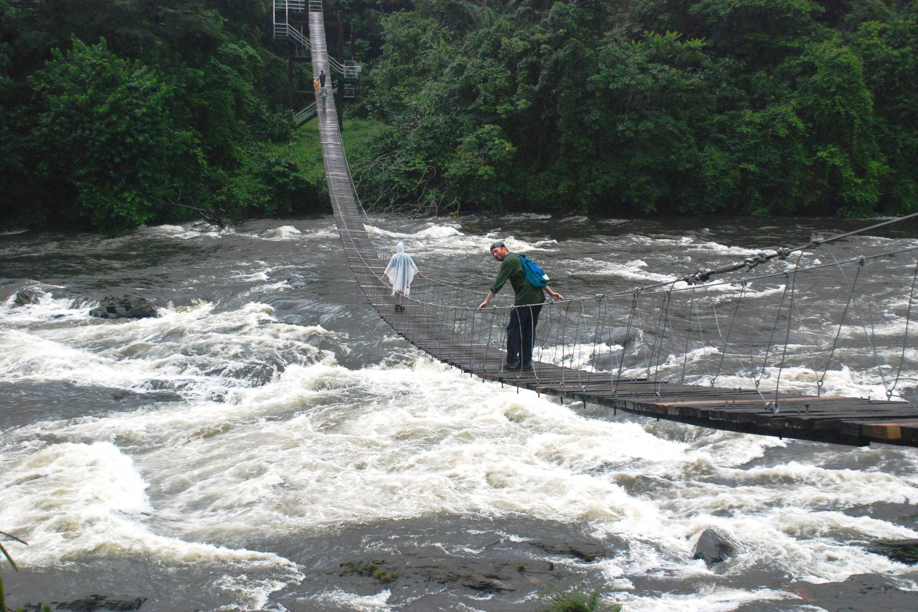Hängbron till Korup nationalpark, 120 m lång