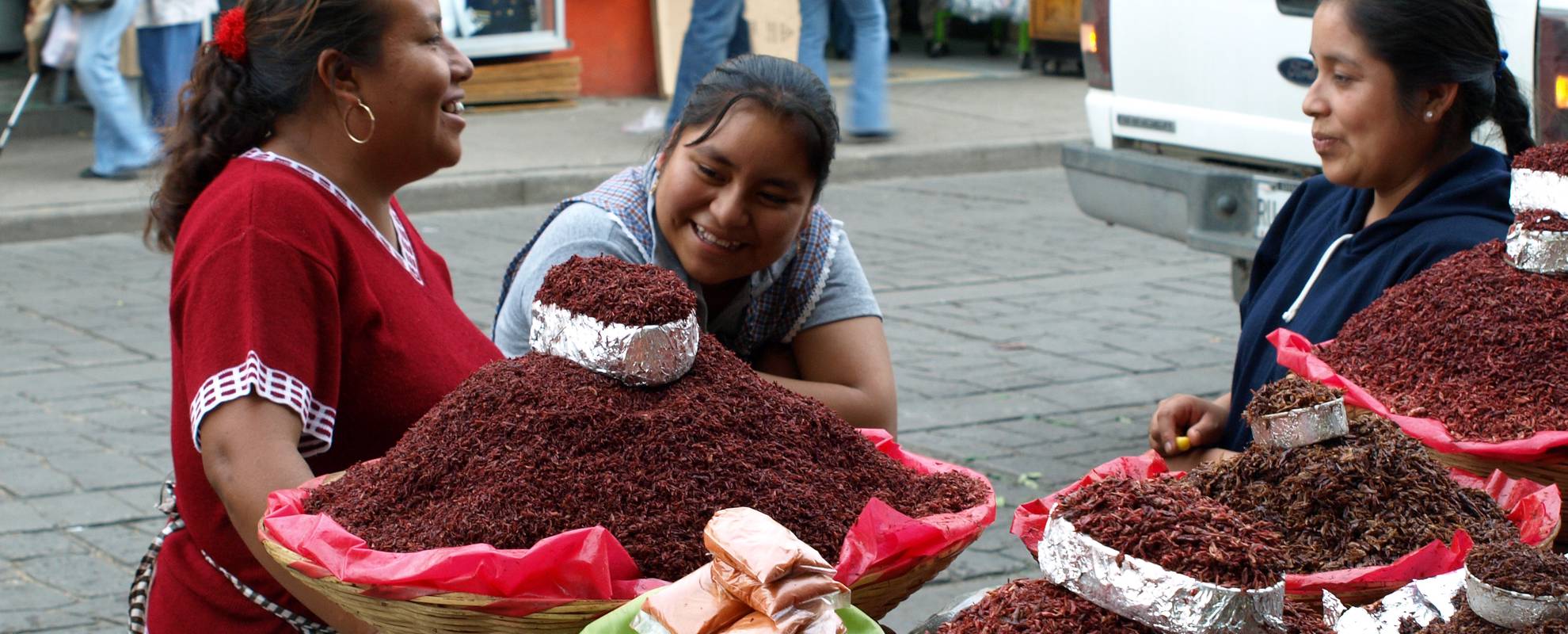 Rostade gräshoppor är ett pupulärt tilltugg i Oaxaca