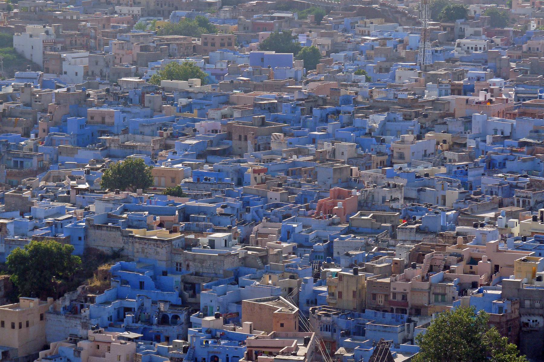 Jodhpur, den blå staden
