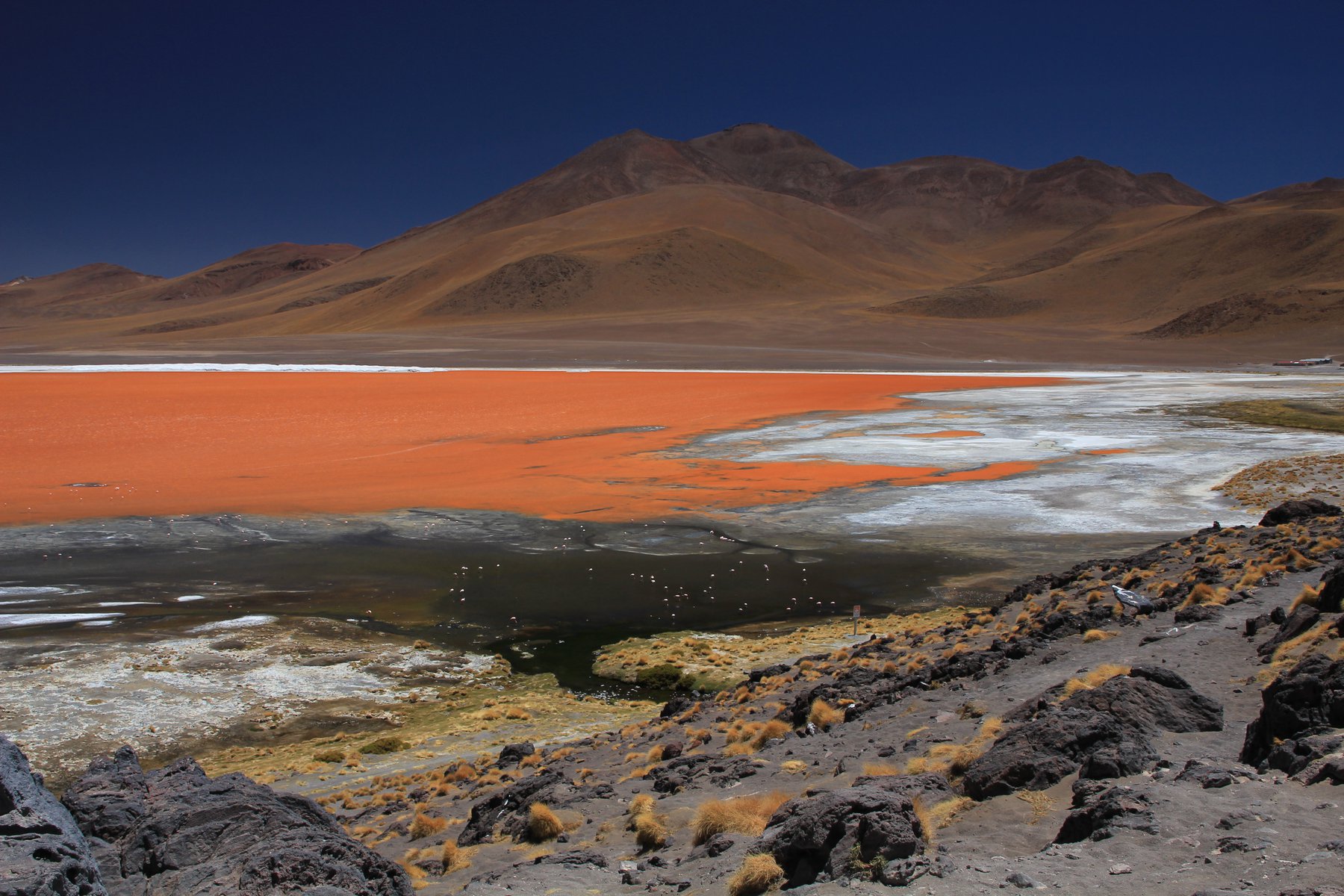 Laguna Colorada i Salar de Uyuni