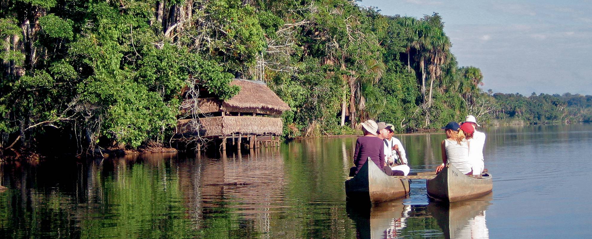 Amazonas är världens i särklass artrikaste område