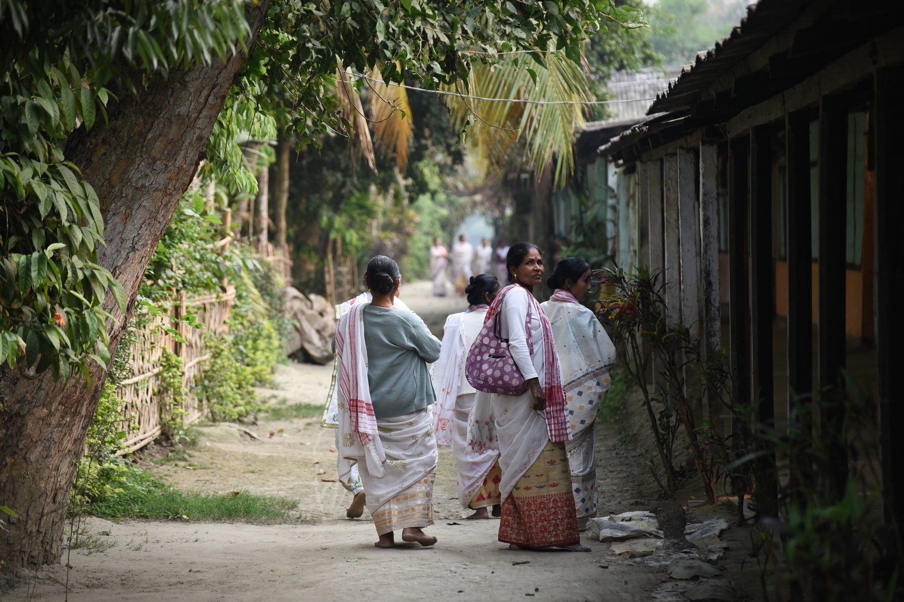 Vackra miljöer på ön Majuli