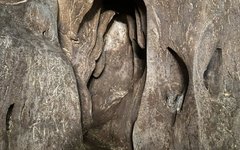 Elefantliknande stenformation i Gua Kota Gellangi