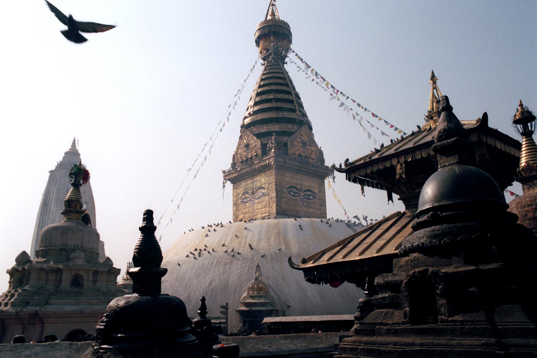 Magnifika Swayambhunath i Kathmandu