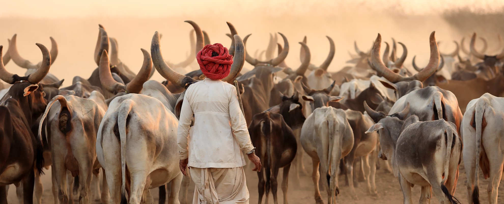 Gujarat är känt för sitt stamfolk och traditionella kultur