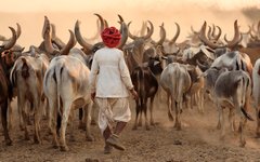 Gujarat är känt för sitt stamfolk och traditionella kultur