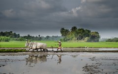 AdobeStock_338327239
