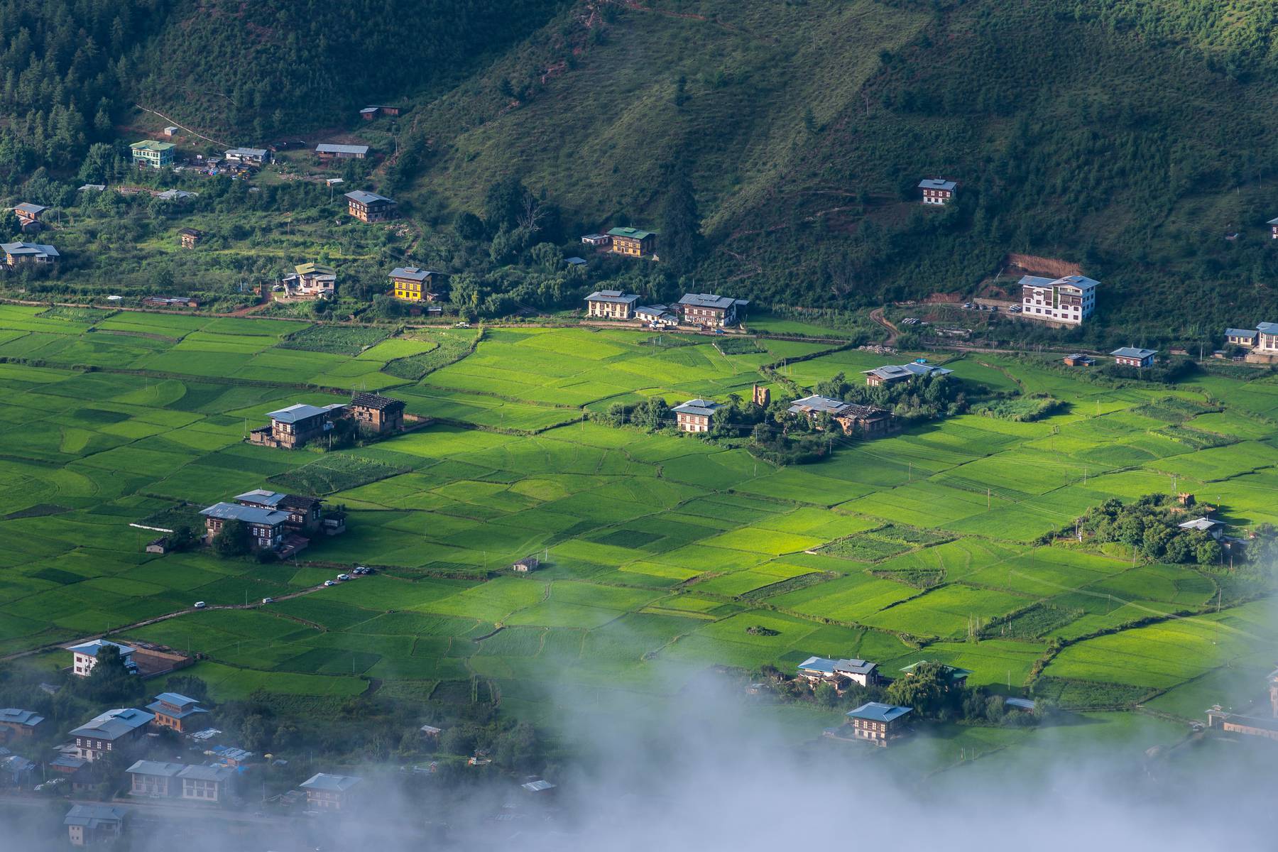 Bhutans landsbygd är fantastisk vacker