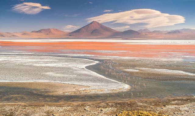 Laguna Colorada