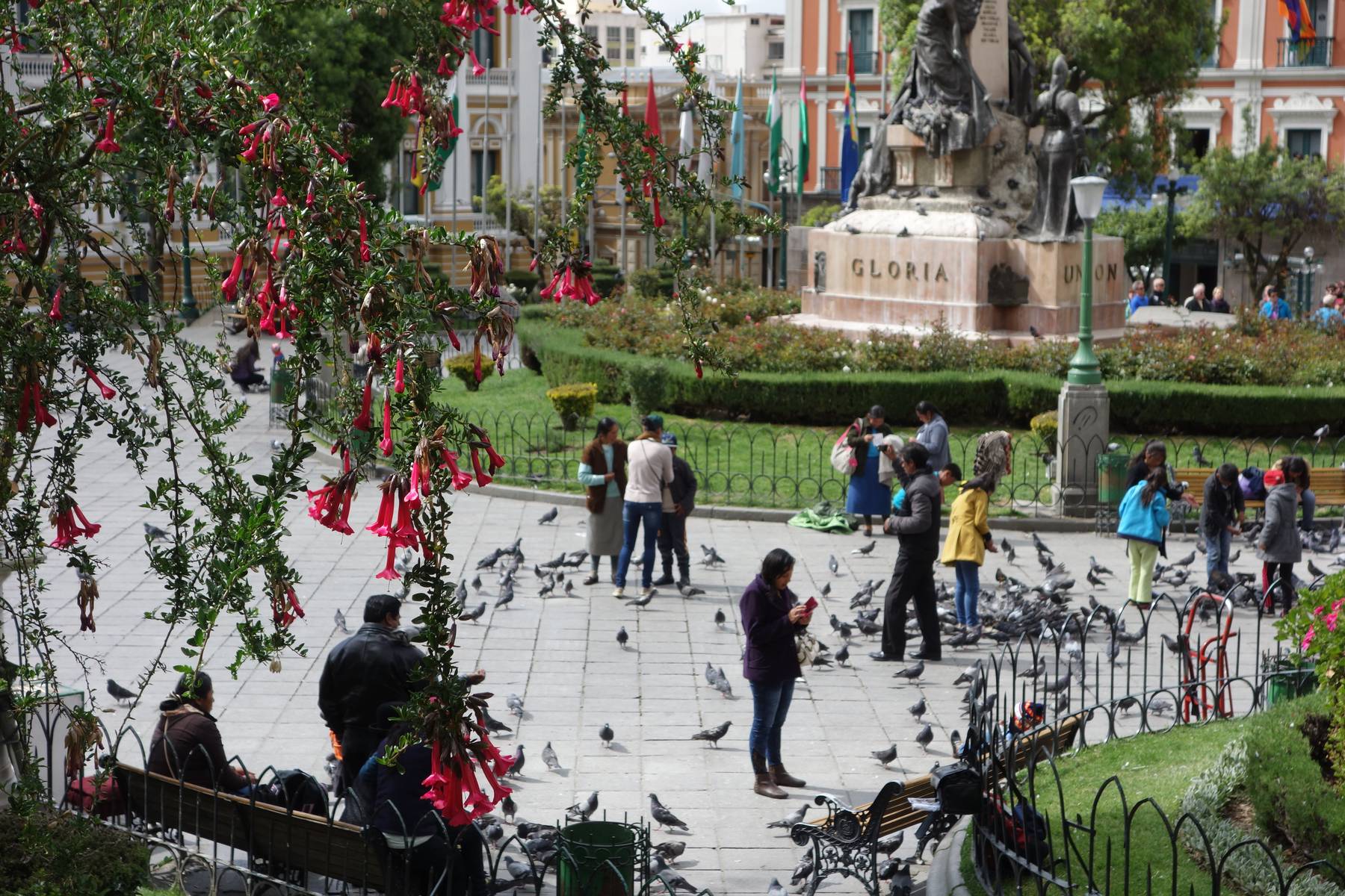 Folkliv i centrala La Paz