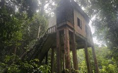 Ett enkelt djurgömsle i Cegar Anjing där ni spanar efter vilda djur