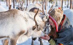 Gems-jokkmokk-market-1.jpg