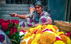 Kutch prince-patel-P18_rU1c2C4-unsplash