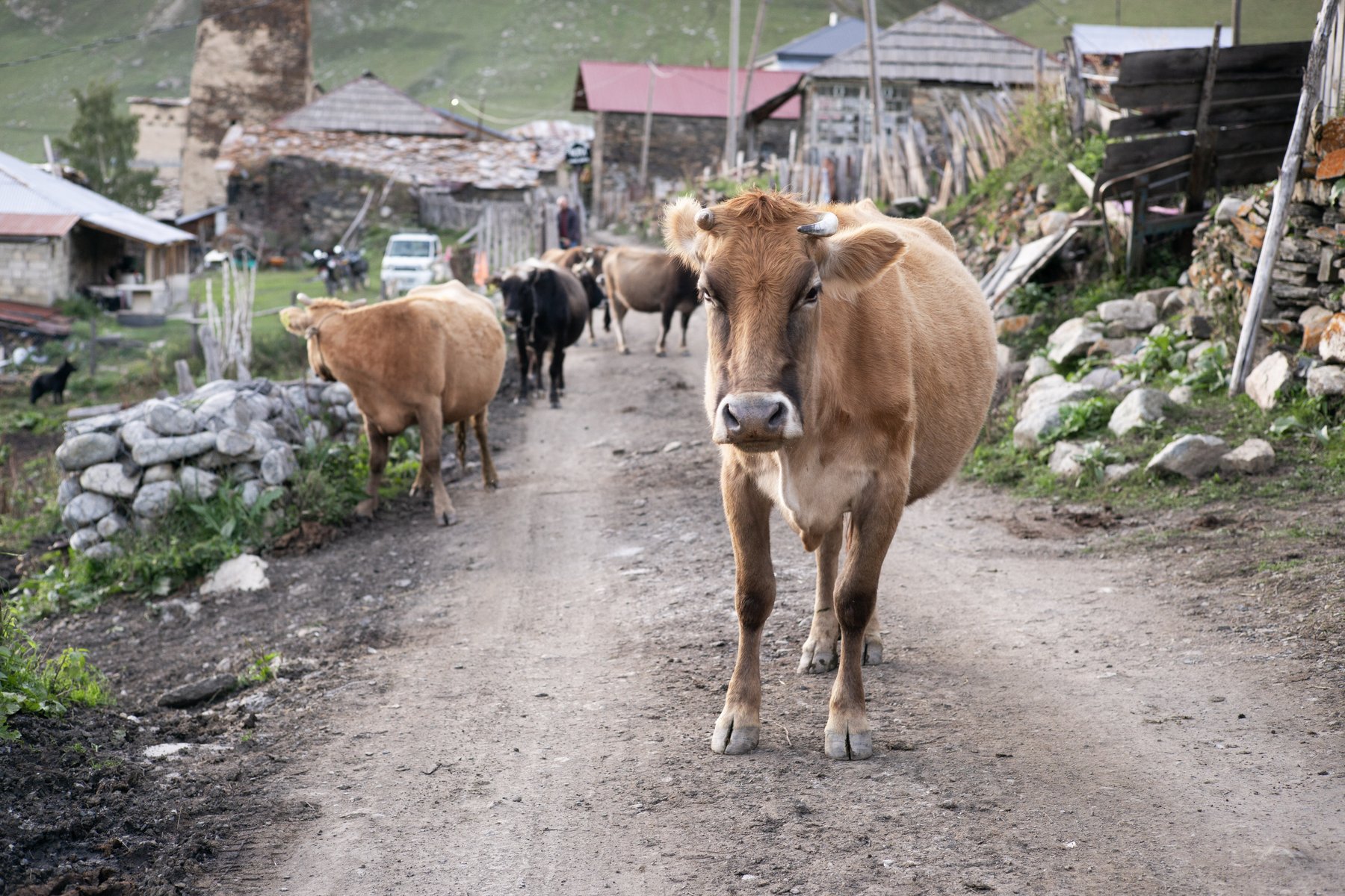 Hård trafik i Europas högstbelägna by