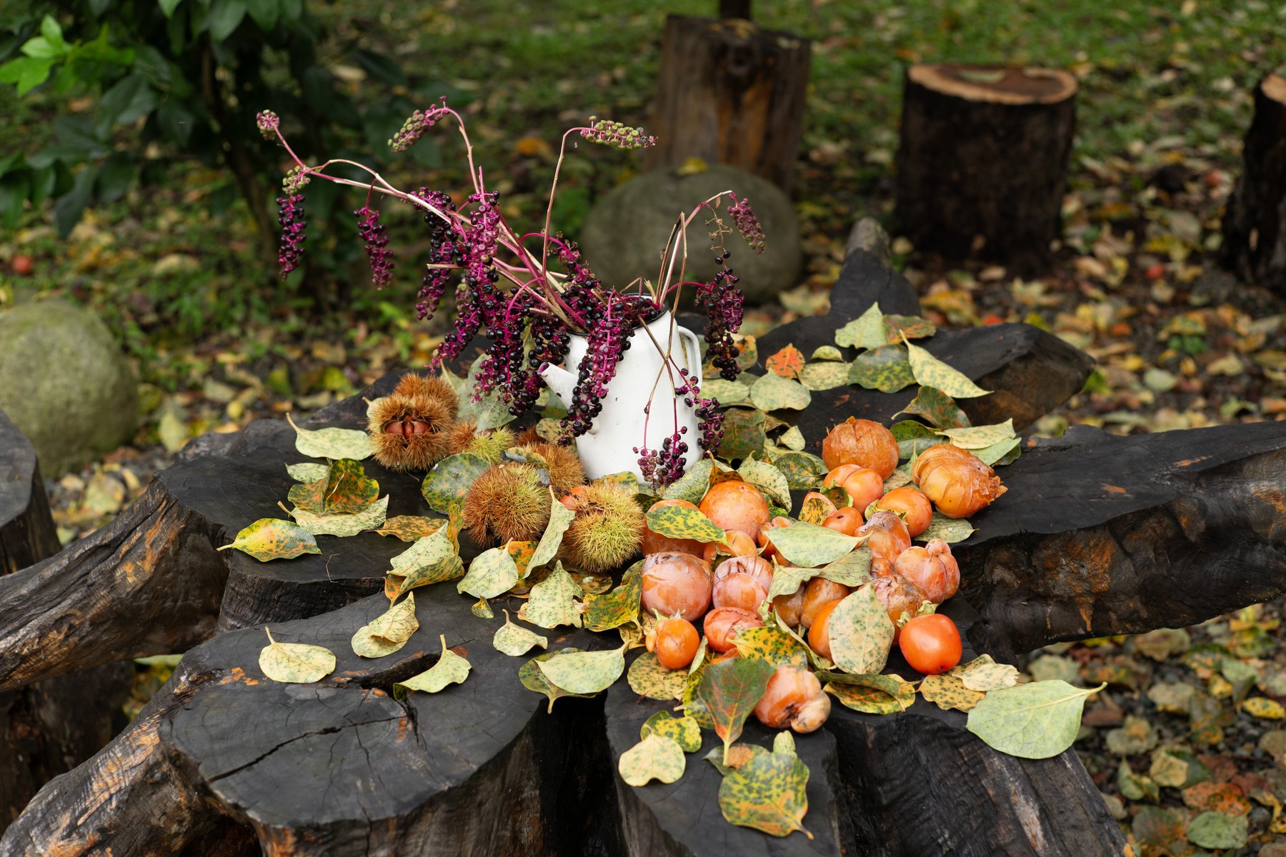 Kaki är en självklar del av det georgiska höstlandskapet