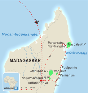 Madagaskars Regnskogar
