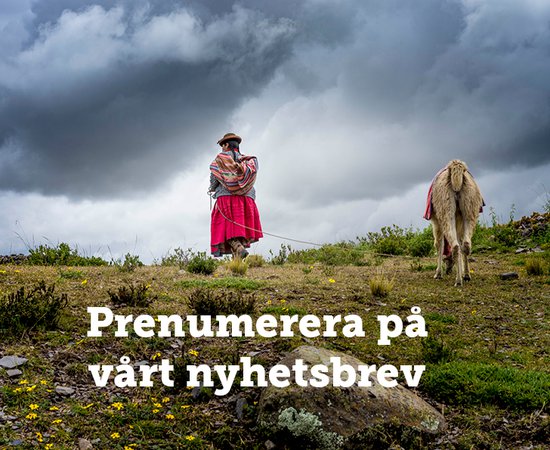 Prenumerera på vårt nyhetsbrev - Peru.jpg