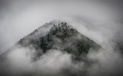 Resa Bhutan Merak berg