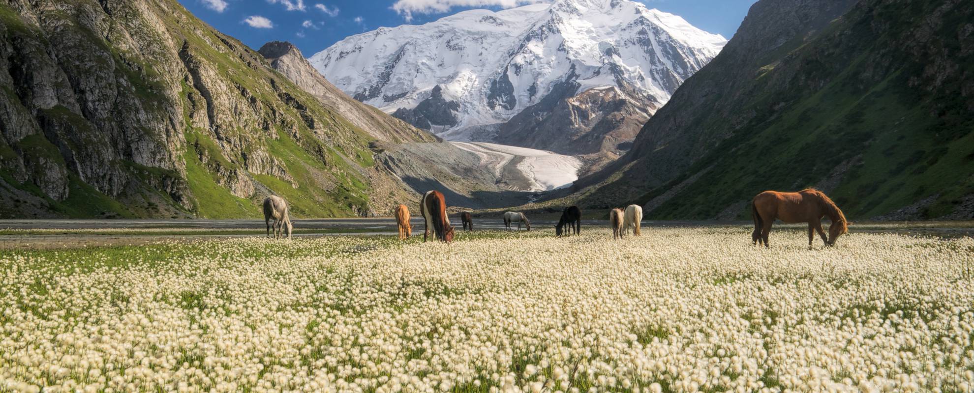 Vildhästar och fantastiska vyer i de kirgiziska bergen