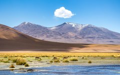 Atacamaöknen i Chile