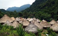 Du vandrar förbi Kogifolkets byar på väg till Ciudad Perdida