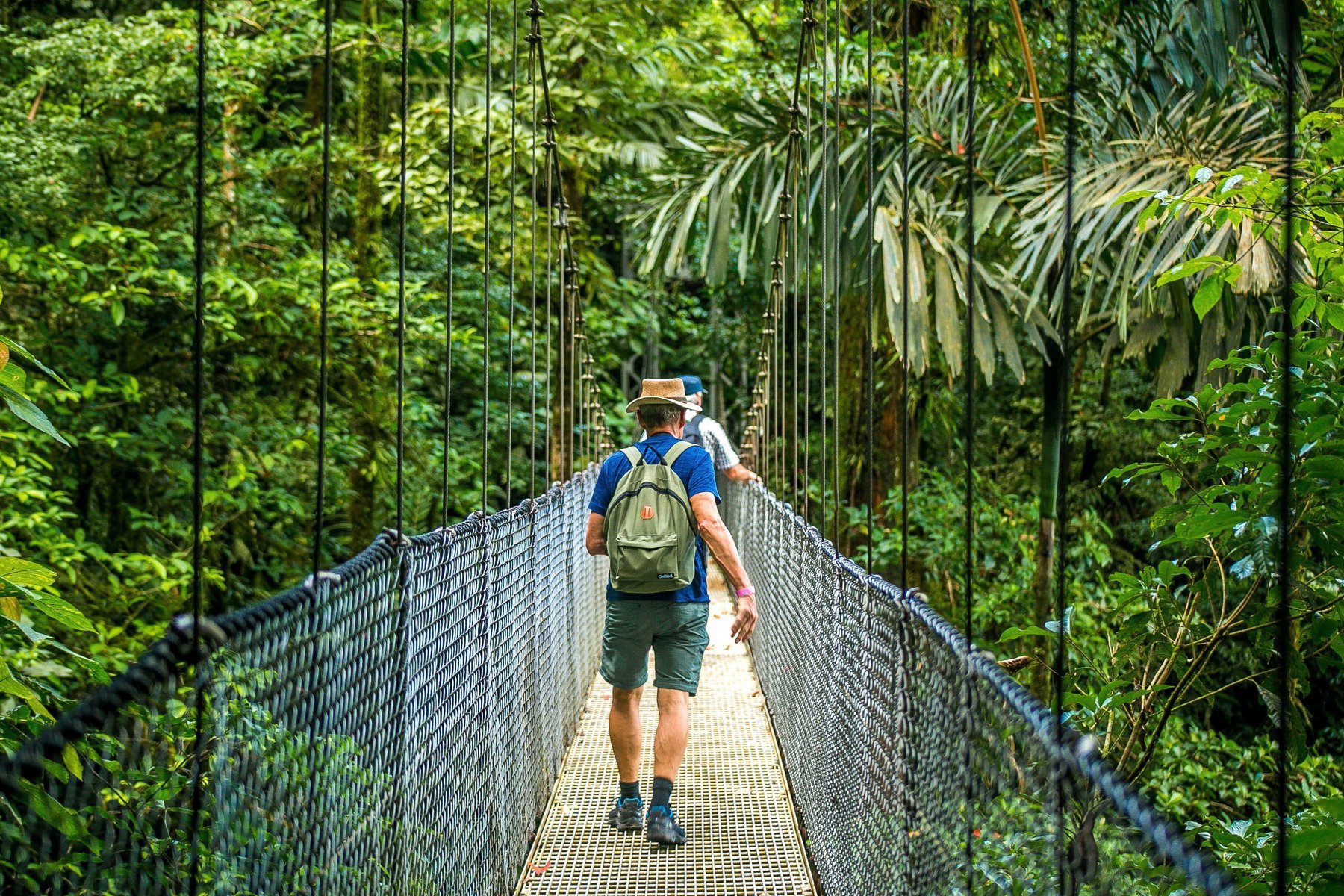 Du vandrar över mäktiga hängbroar i regnskogen
