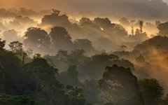 Costa Rica har stora mängder bevarad regnskog