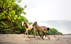 Costa Rica har gott om vilda stränder