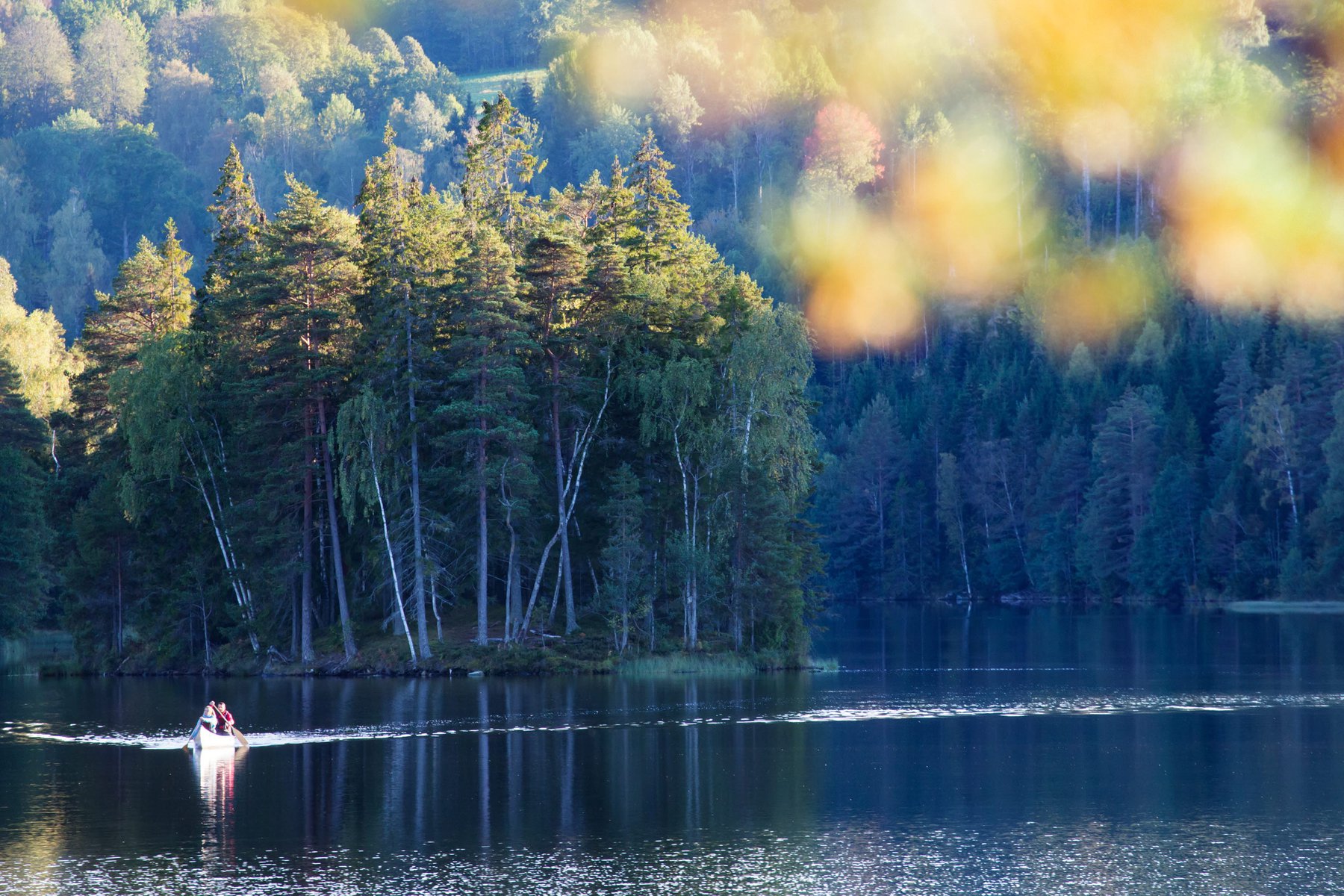 Dalsland har förmodligen Sveriges bästa paddlingsvatten