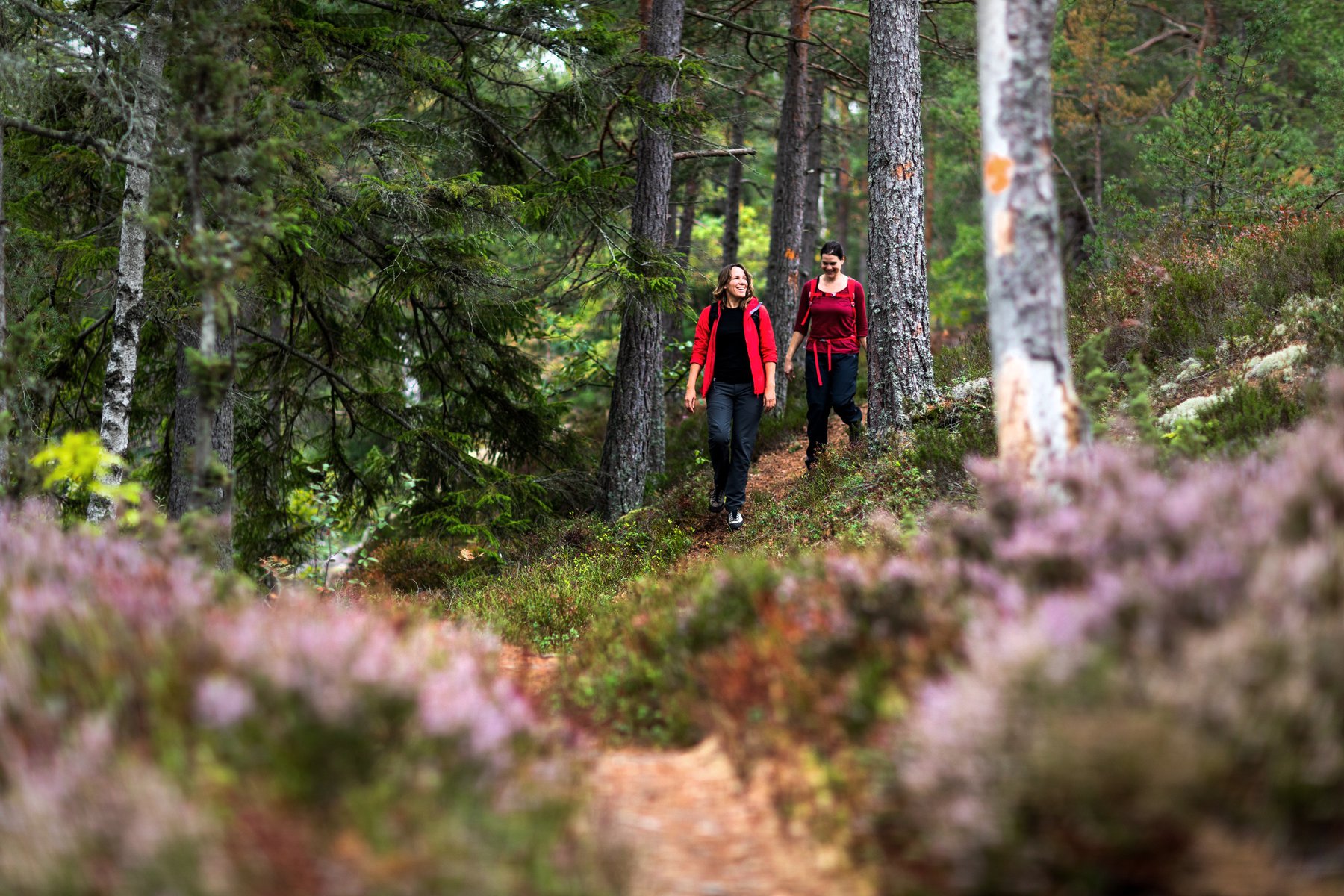 Givetvis får du vandra i fantastisk natur under resan