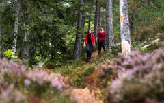 Givetvis får du vandra i fantastisk natur under resan