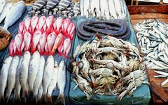 Är du morgonpigg kan du besöka fiskmarknaden i Alexandria