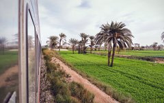 Du reser med tåg från Kairo till Luxor