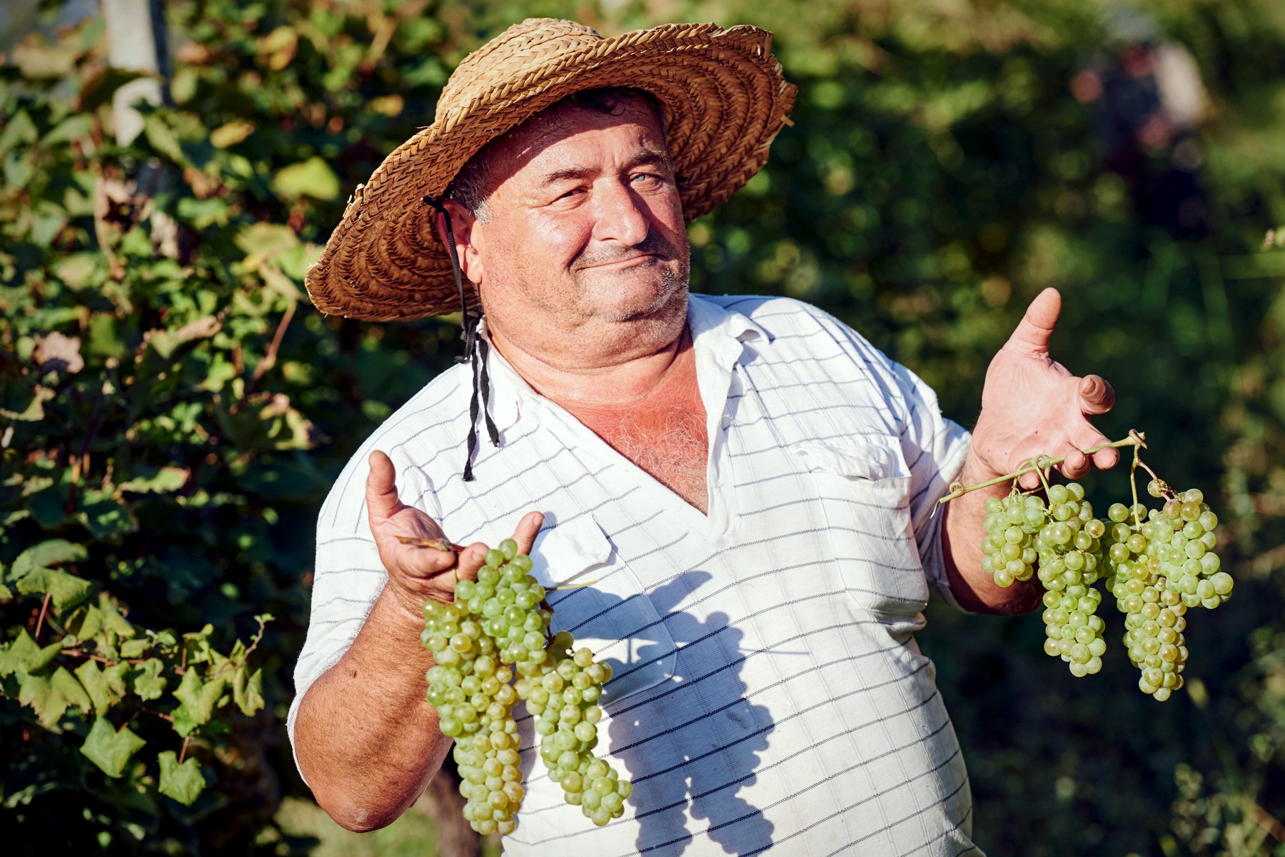 Regionen Kakheti i Georgien brukar kallas för vinets vagga