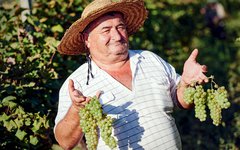 Regionen Kakheti i Georgien brukar kallas för vinets vagga