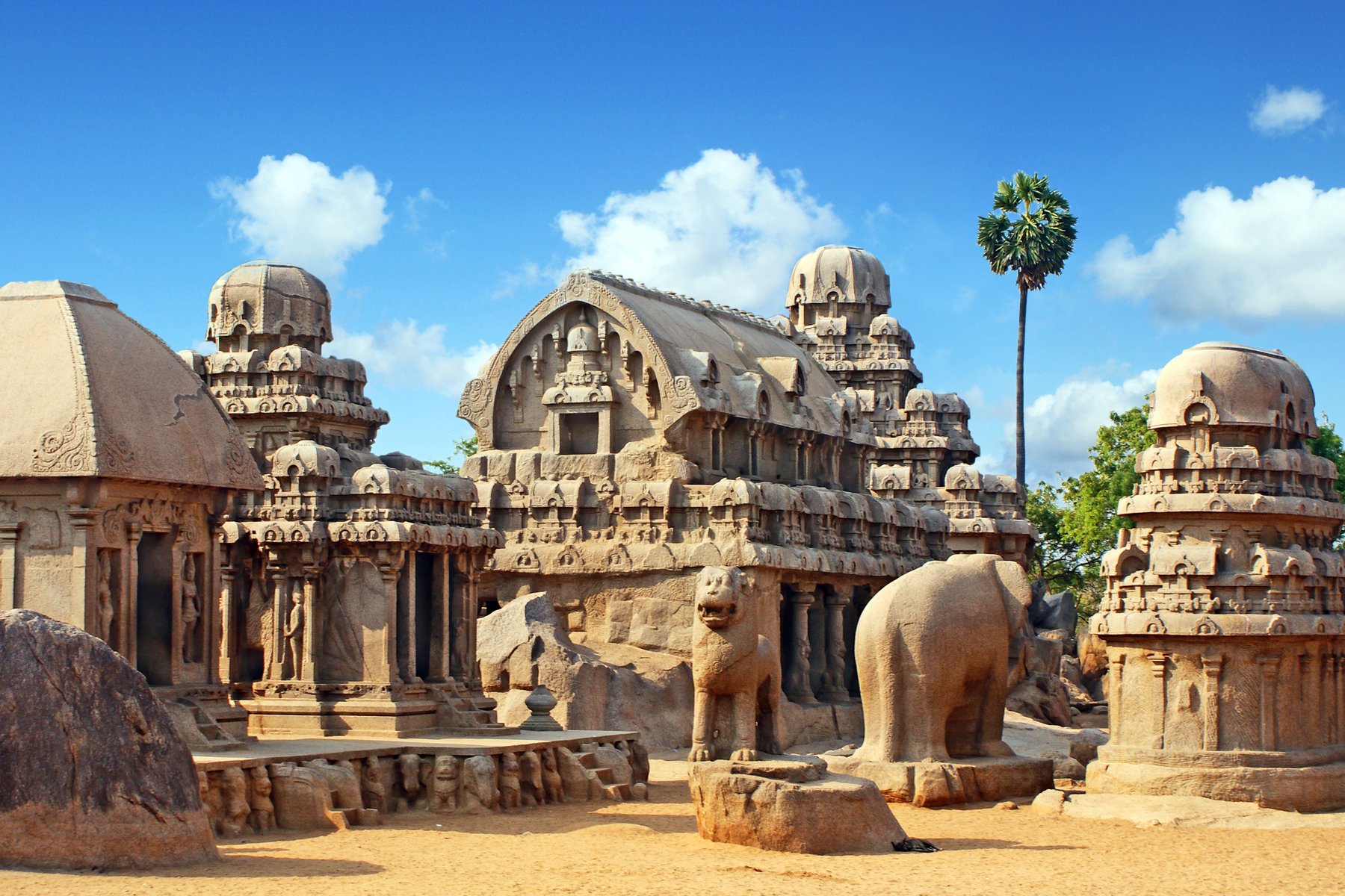 Du besöker de mäktiga världsarven vid Mahabalipuram