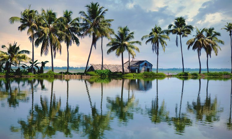 Du cyklar genom magiska backwaters