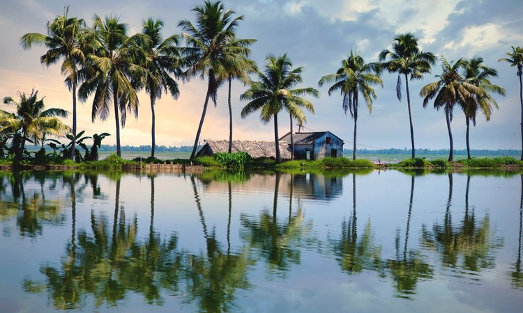 Du cyklar genom magiska backwaters