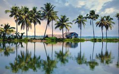 Du cyklar genom magiska backwaters