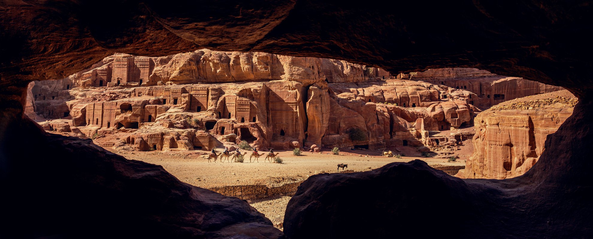 En karavan av kameler i närheten av Petra