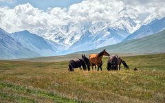 Resa Kirgizistan Issyk Kul