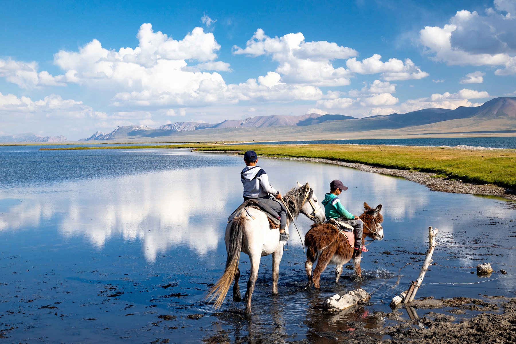 Underbara miljöer vid Song Kul i Kirgizistan