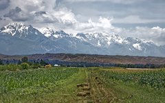 Utsikt mot Tian Shan bergen