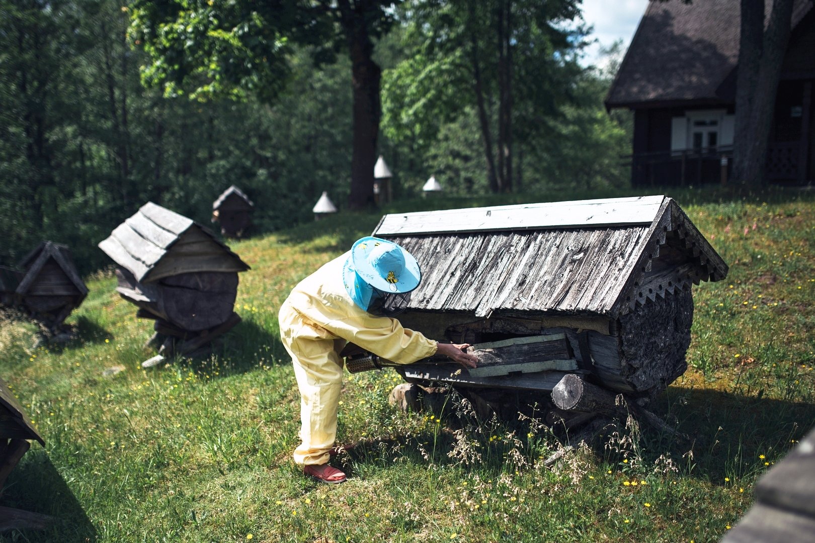Biodlingsmuseum i norr Litauen