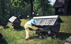 Biodlingsmuseum i norr Litauen