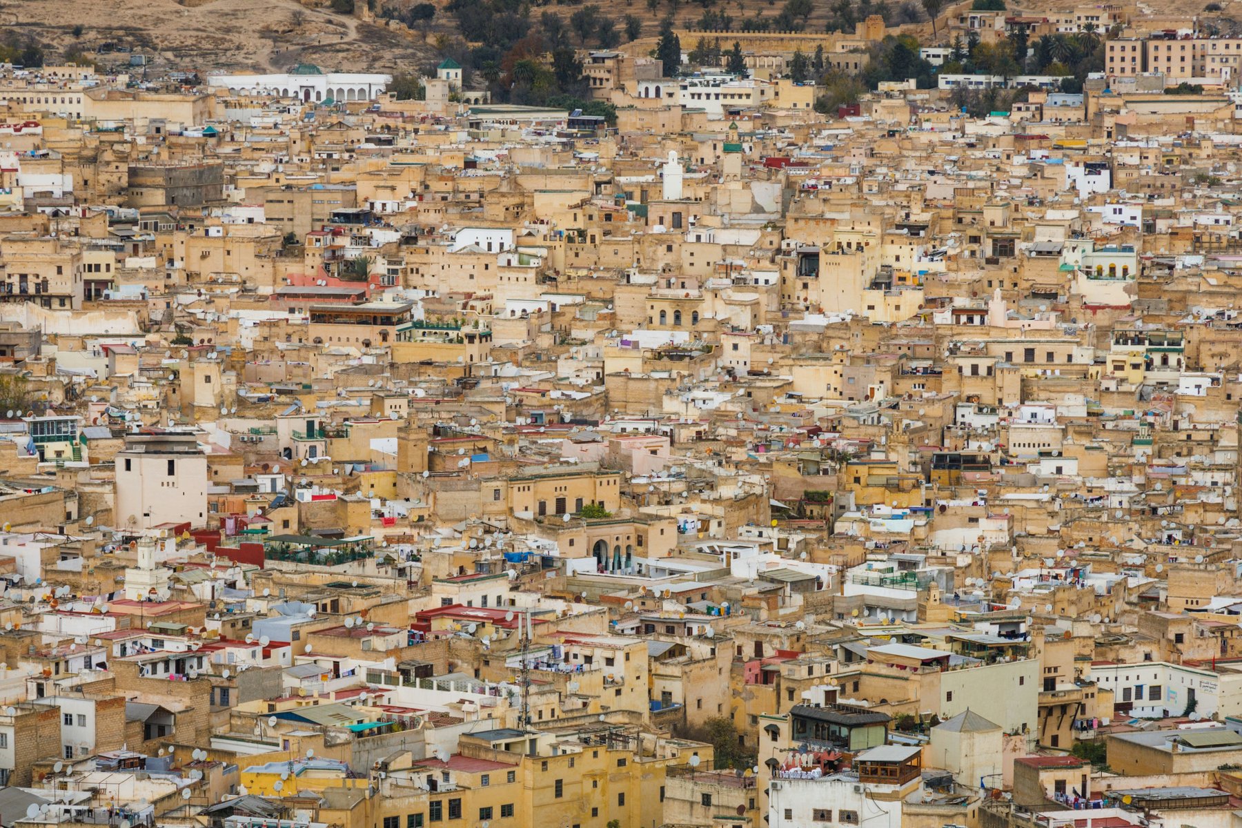 Vy över medinan i Fez