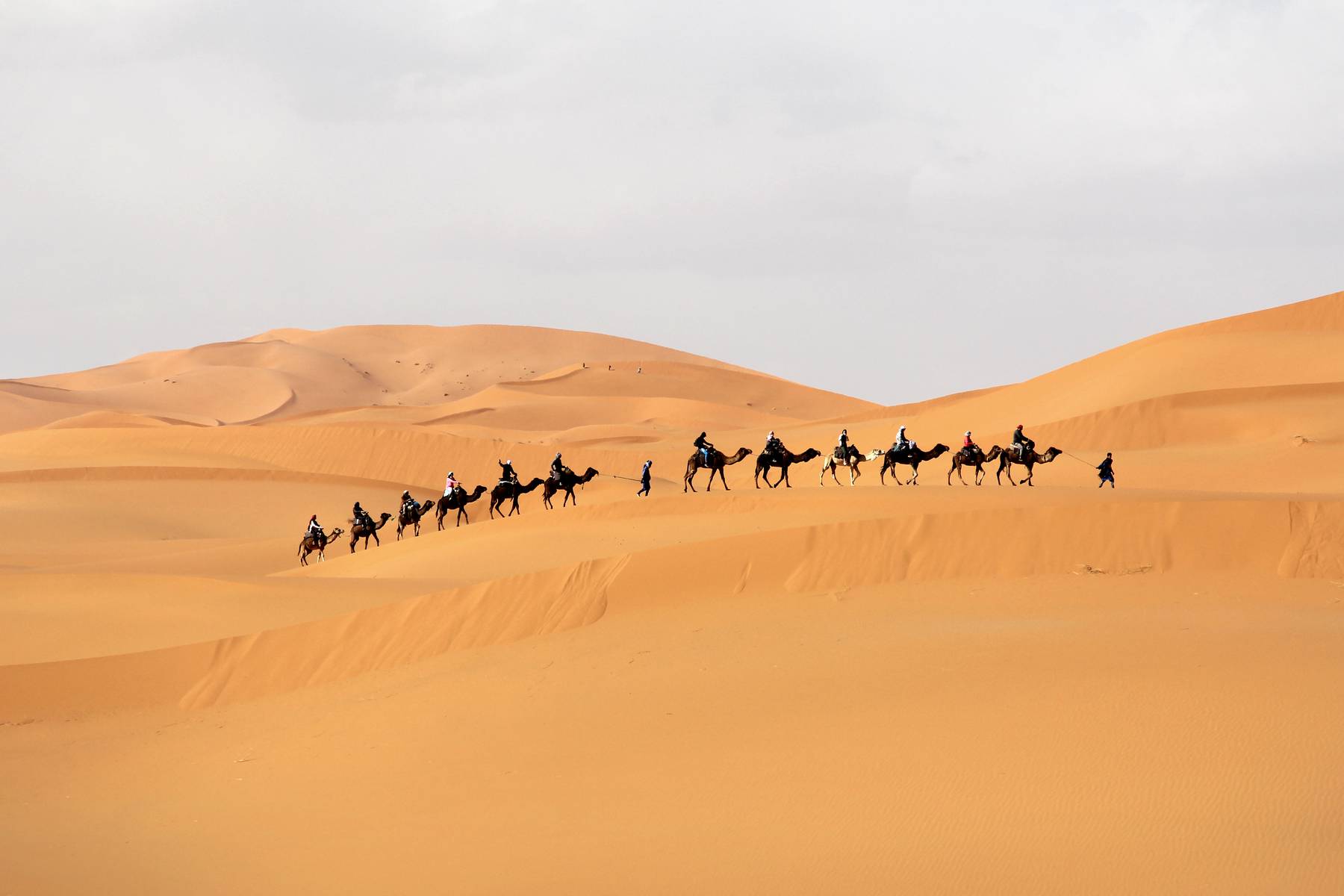 Under resan i Marocko kommer du till öknen vid Merzouga