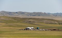 Resa Mongoliet nomadliv