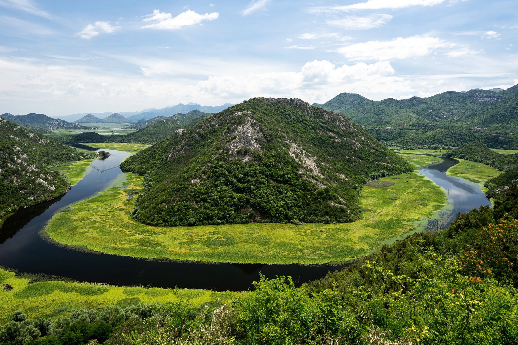 Du åker båt genom Skadar nationalpark